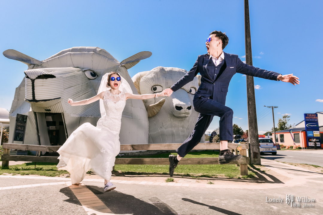 20180910jiangdamiao_dog0033