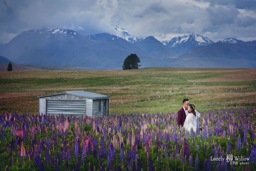 20181130olivia_lupins0042