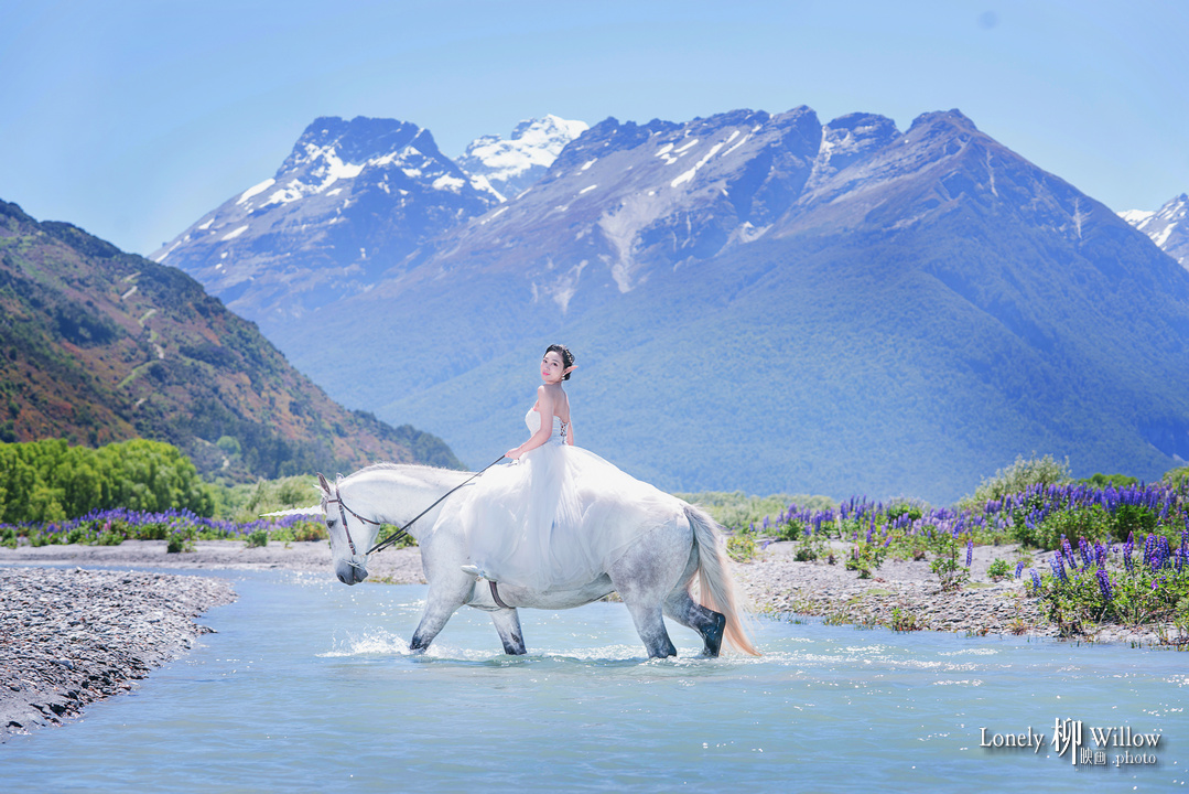 20181206luyaqing_horse0068