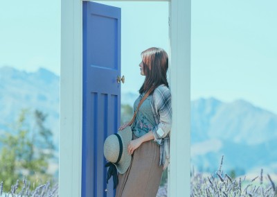 茫茫的薰衣草园