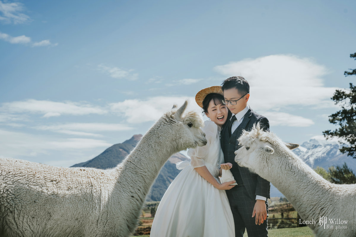 20191003dalixiaohao_caonima0166f1