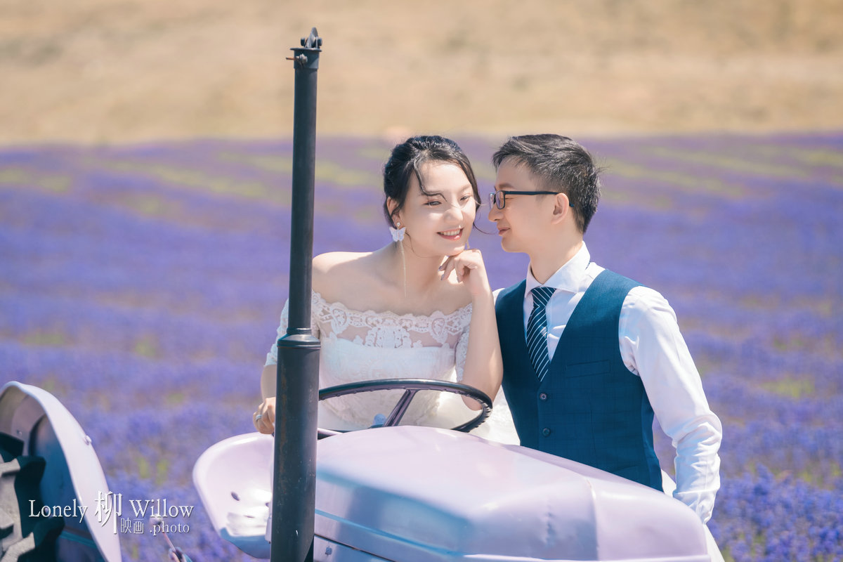 20200117wu_lavendar0190