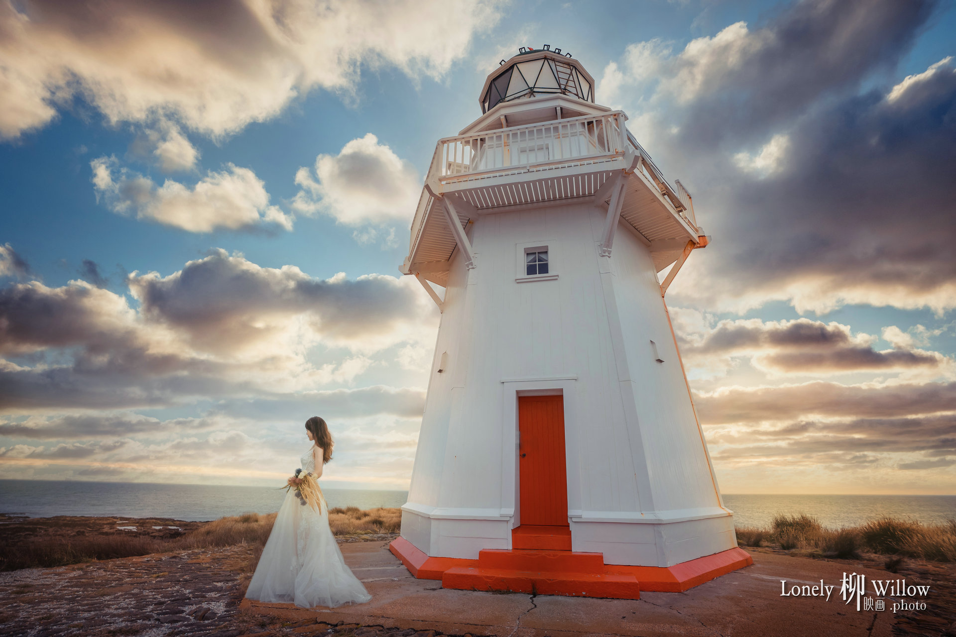 20200121sealionlighthouse_0263