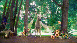 夏日森林仙子婚礼