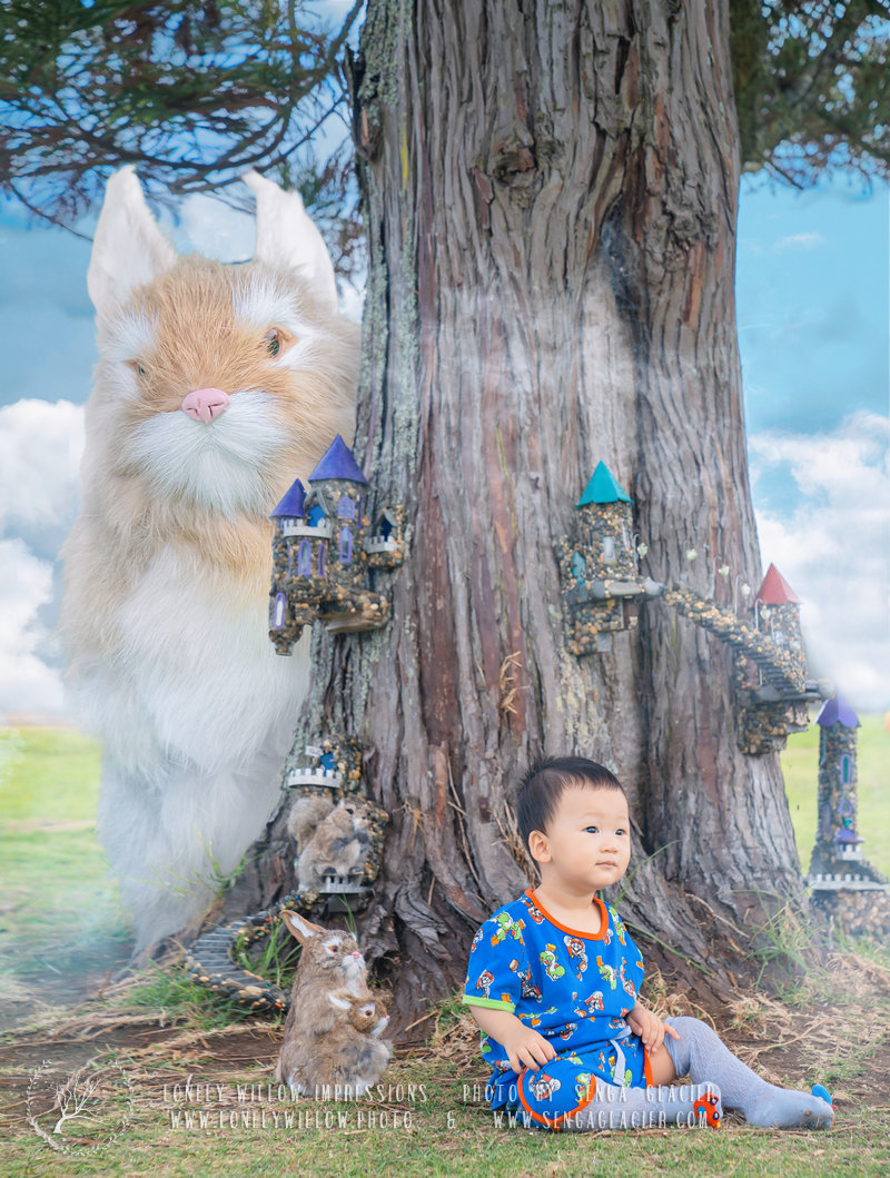 20210317baby-fairywork0025