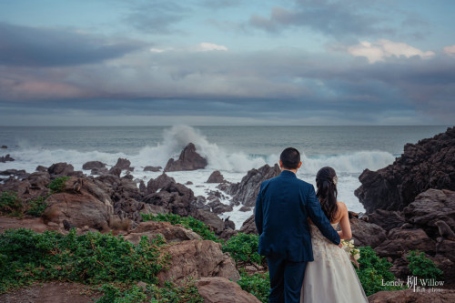 20230707abelia-seal0014