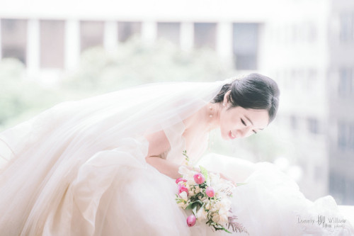 20230707abelia-wellington0121