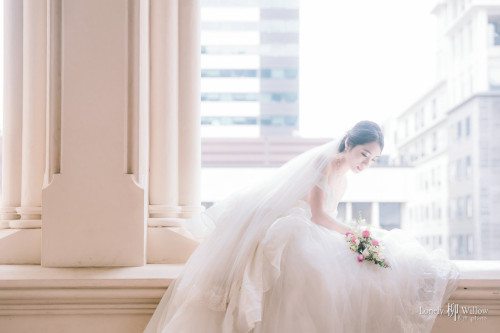 20230707abelia-wellington0127