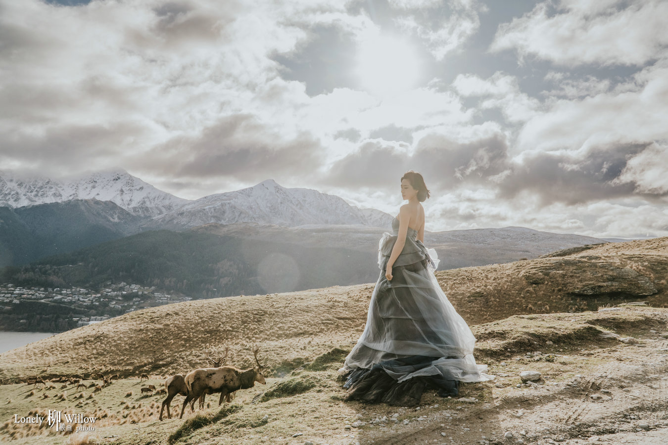 20230808nicky-deers0060