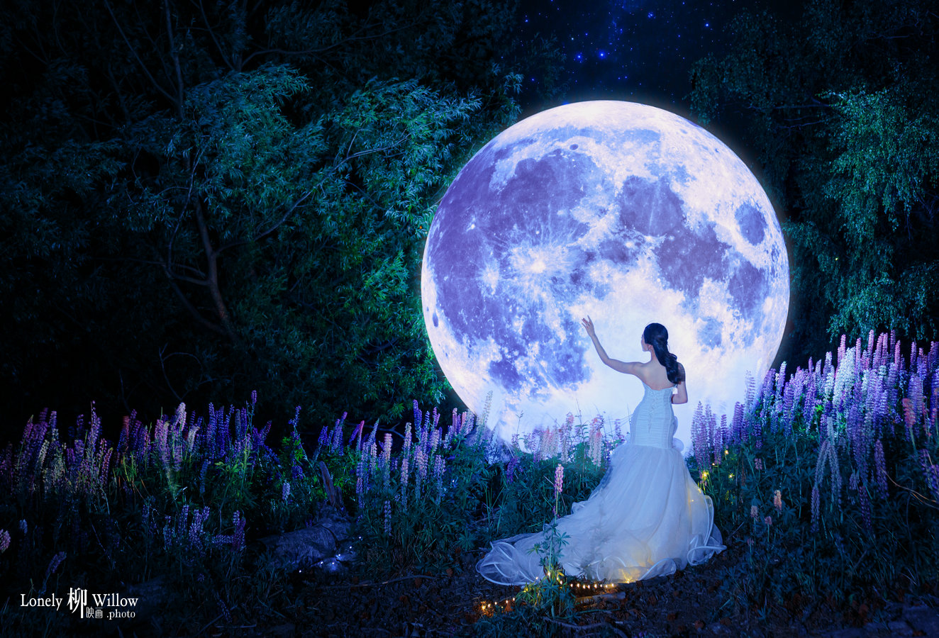 20231209leah-lupinsmoon0058