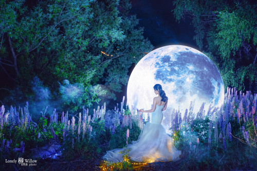 星空月夜的鲁冰花