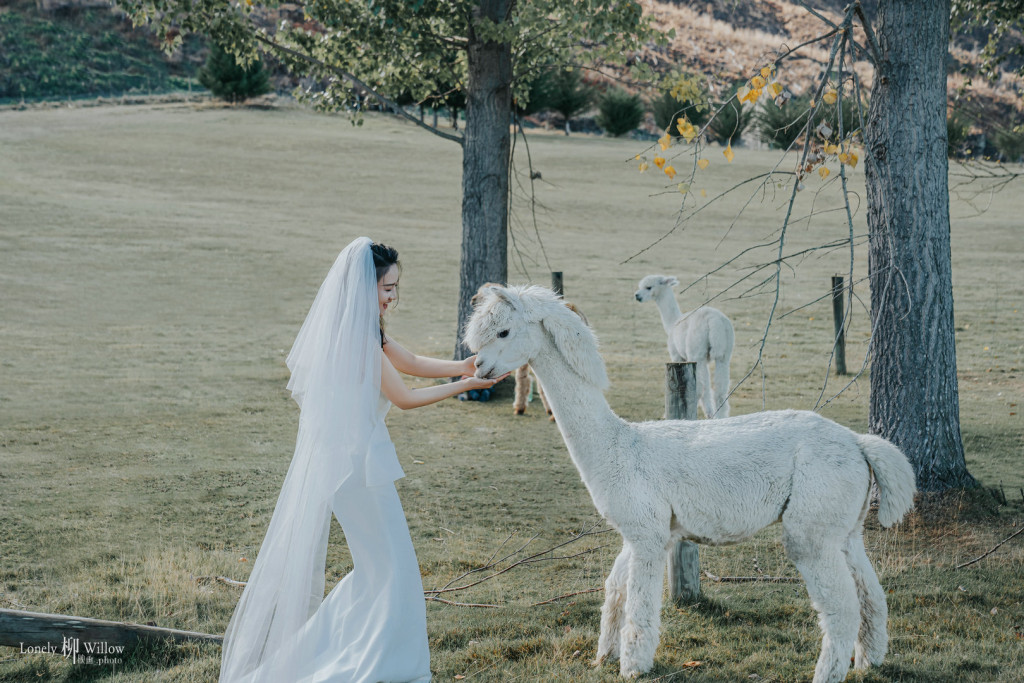 20250412jouw-caonima0021