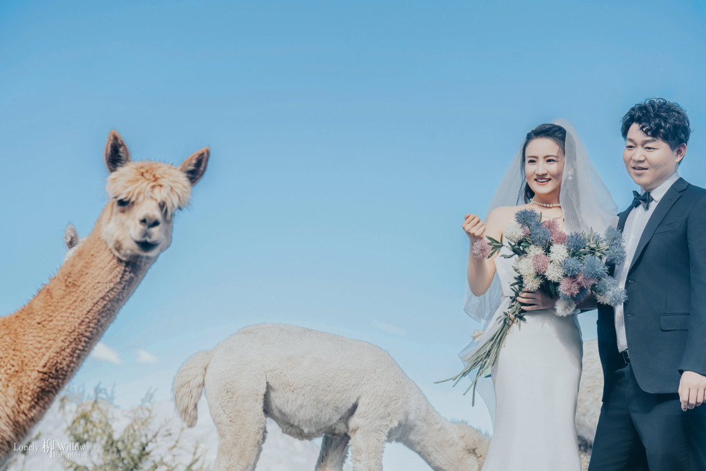 20250412jouw-caonima0200