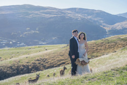 20250423xiaozhang-deerpark0058