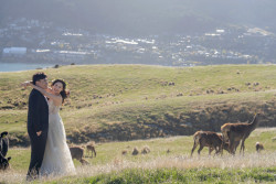 20250423xiaozhang-deerpark0075