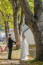 20250423xiaozhang-street0095