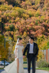 20250423xiaozhang-trees0078