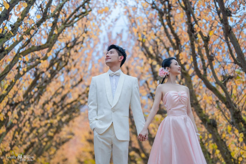 20250428hu-orchard0153-web