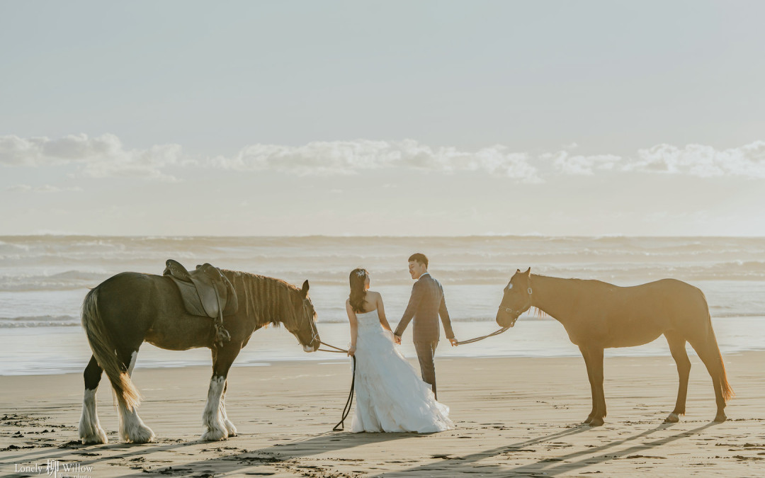 鸟岛起码看夕阳，越野车等星空