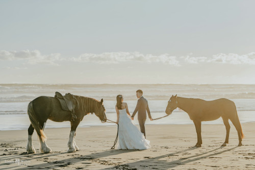 鸟岛起码看夕阳，越野车等星空