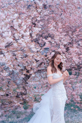 20251006mattsonchan-sakura0133