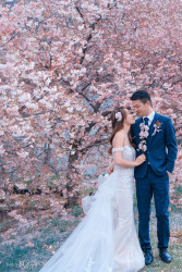 20251006mattsonchan-sakura0141