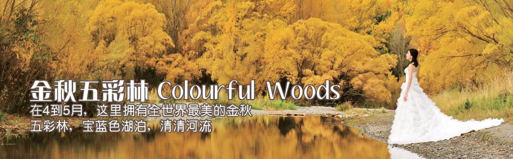 金秋五彩林和柳映画的故事