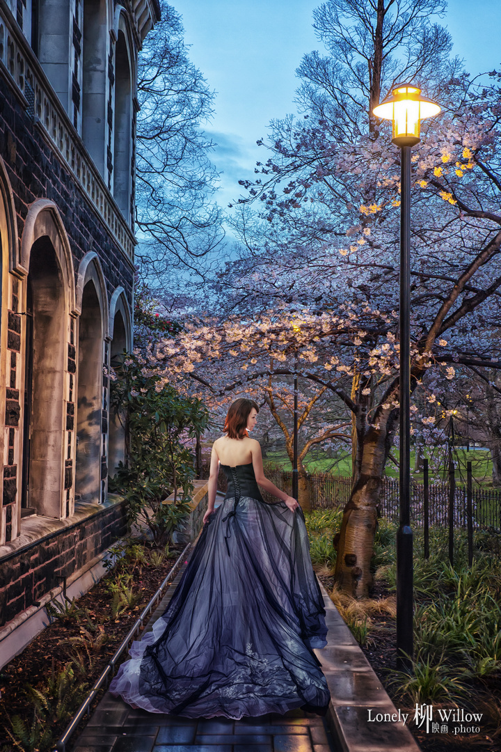 otagouniversity-sakuranight0009a