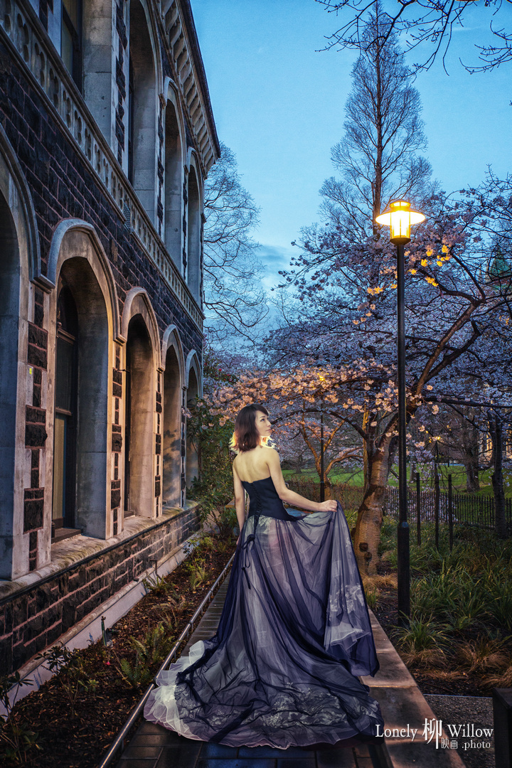 otagouniversity-sakuranight0011a