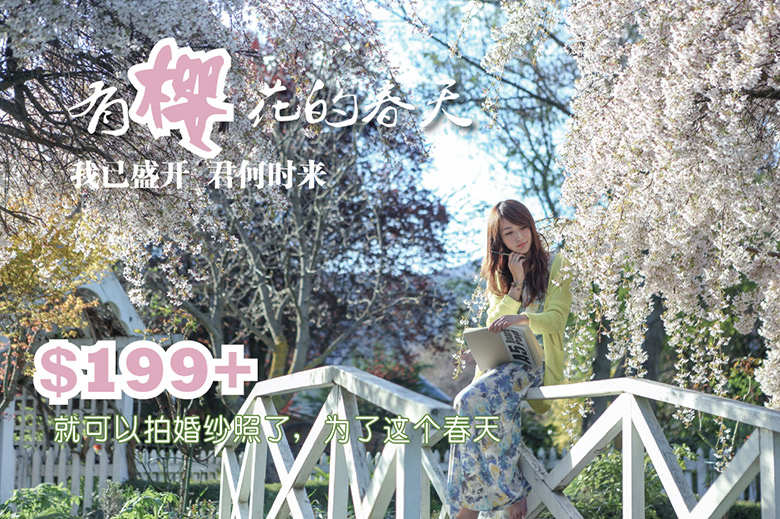 春天樱花套餐特价，$199起