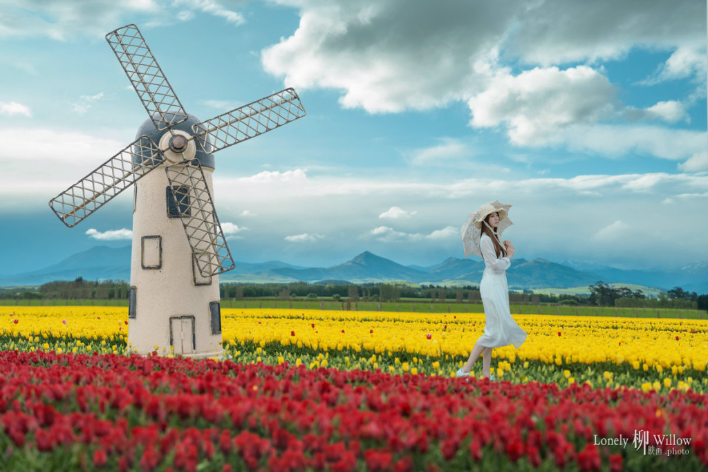 梦中的郁金香——藏在新西兰南岛的小荷兰